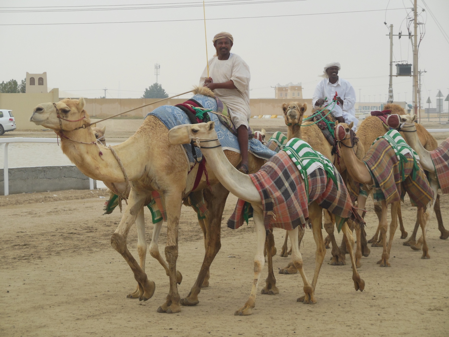 Kamelrennbahn in der Nähe von Doha (1800x1350)